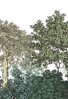 Papier peint restaurant paysage forêt gravure