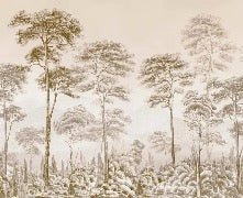 Papier peint nature pinède sépia