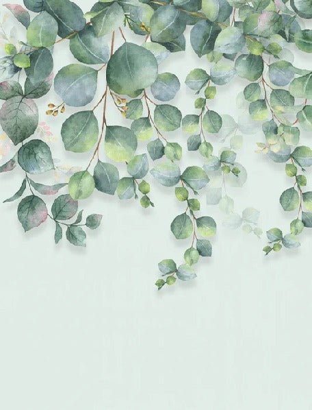 Papier peint nature plante Eucalyptus