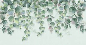 Papier peint nature plante Eucalyptus