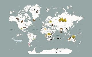 Papier peint Carte du monde en Francais enfant gris