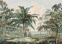 Papier peint paysage Célèbes
