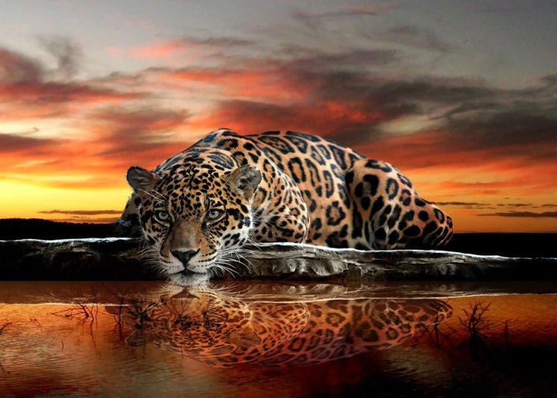 Papier peint Panthère majestueuse, XXL, tendance