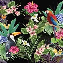 Papier peint Tropical & Toucan