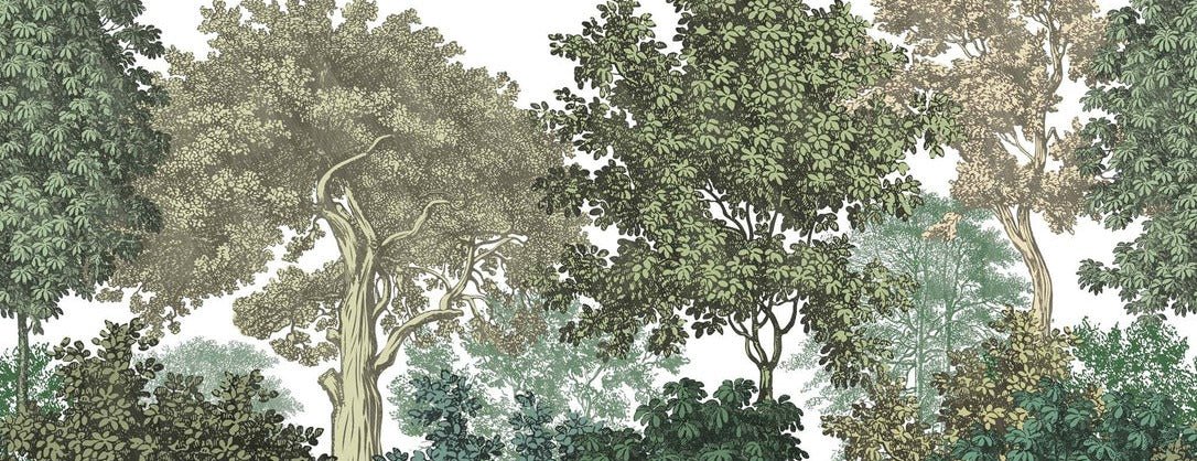 Papier peint paysage forêt gravure