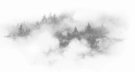 Papier peint brume des Cimes gris, XXL, tendance