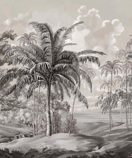 Papier peint paysage Célèbes noir et blanc, XXL, tendance