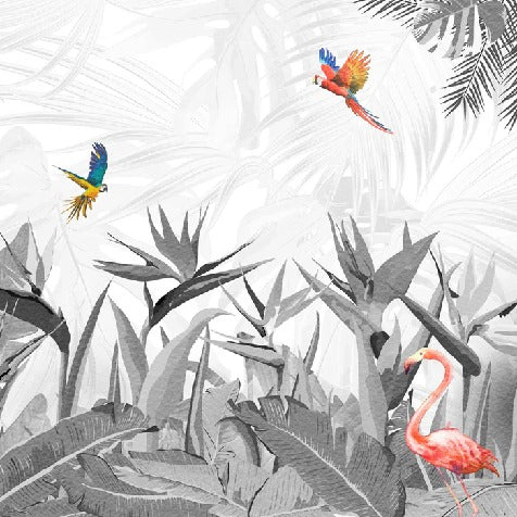 Papier peint noir et blanc oiseau du paradis