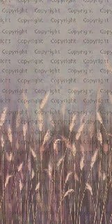 Papier peint panoramique herbes sauvages rose, XXL, tendance