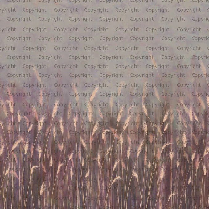 Papier peint panoramique herbes sauvages rose, XXL, tendance