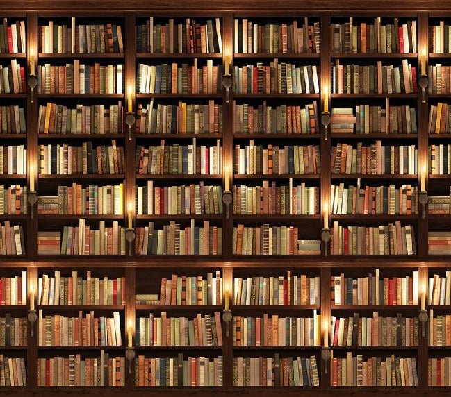Papier peint trompe l'oeil Authentique Bibliothèque