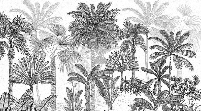 Papier peint jungle cocotier tendance gravure
