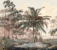 Papier peint paysage Célèbes terra