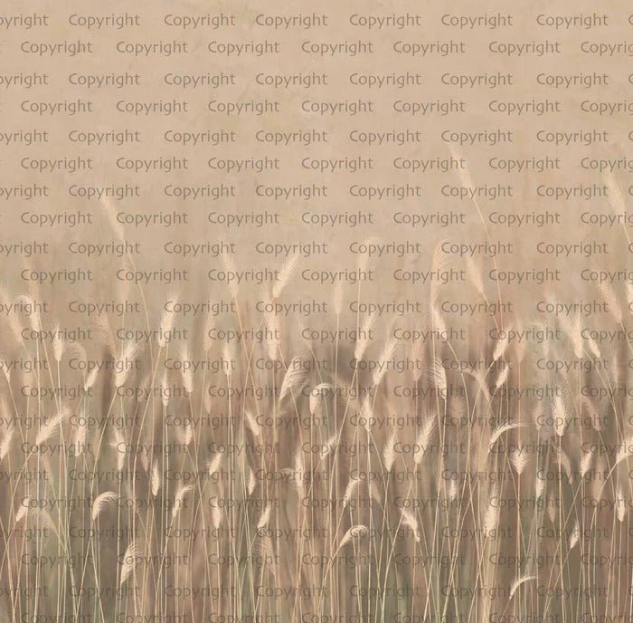 Papier peint panoramique herbes sauvages beige