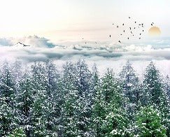 Papier peint panoramique intissé forêt de sapin neige