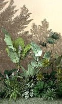 Papier peint toilette Jungle tendance indonésia