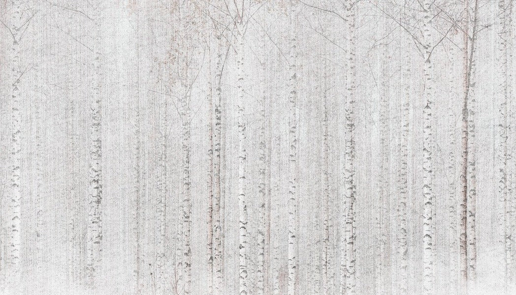 Papier peint forêt de bouleaux enveloppante