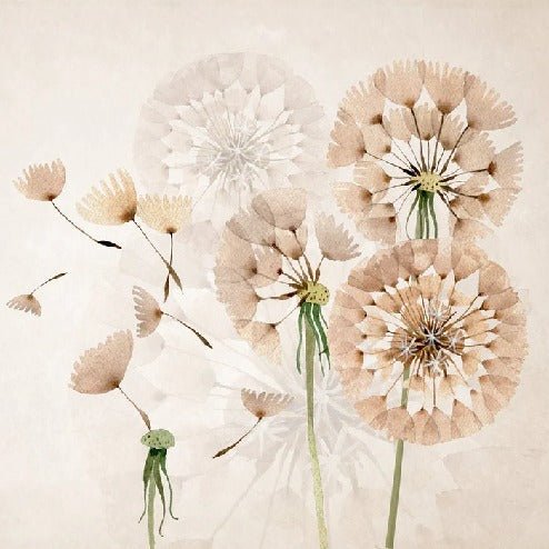 Papier peint fleur pissenlit