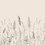 Papier peint panoramique prairie sauvage