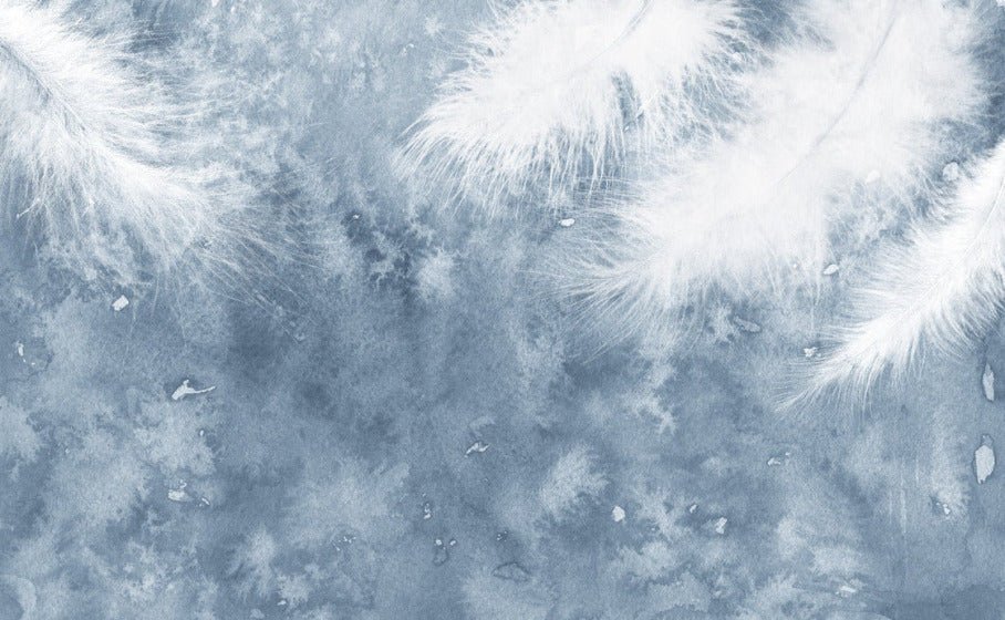 Papier peint Plume Blanche