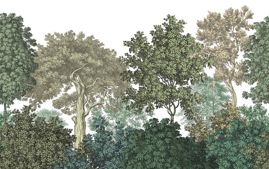 Papier peint paysage forêt gravure