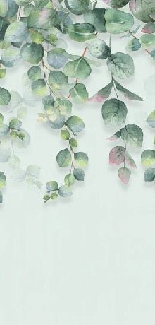 Papier peint wc nature plante Eucalyptus