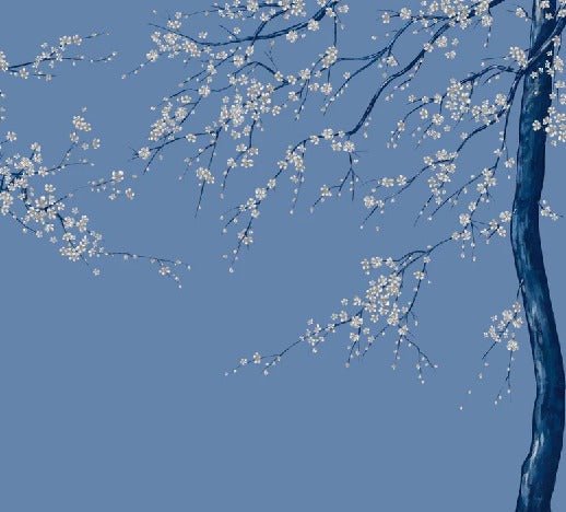 Papier peint panoramique fleur Sakura bleuté
