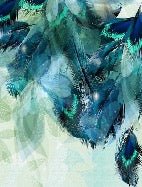 Papier Peint Plume Ethnique Paon