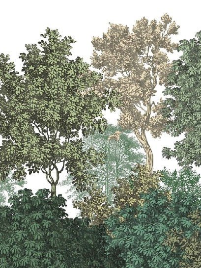 Papier peint paysage forêt gravure