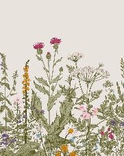 Papier peint fleur botanique folk romantique