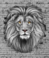 Papier peint Lion sauvage Majestueux, XXL, tendance