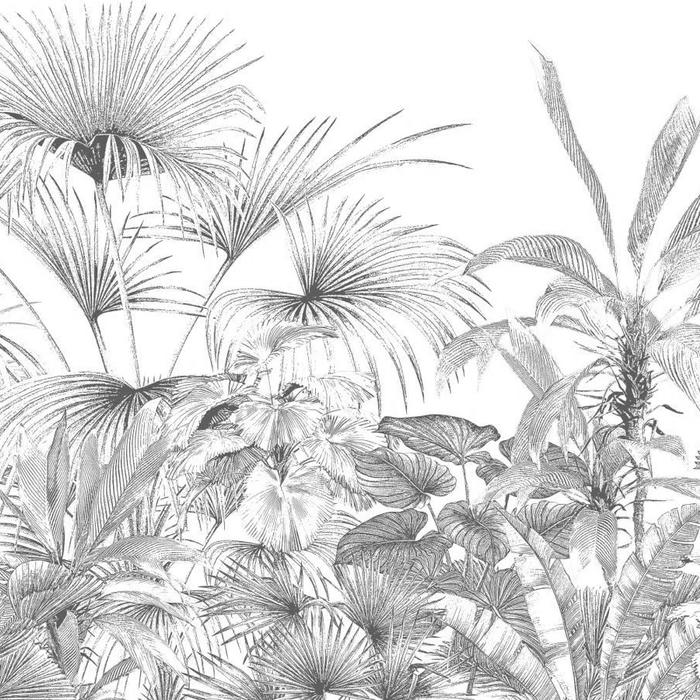 Papier Peint Tropical Gravure Monochrome Noir et Blanc - H100cm x L100cm - Matière Softouch, XXL, tendance