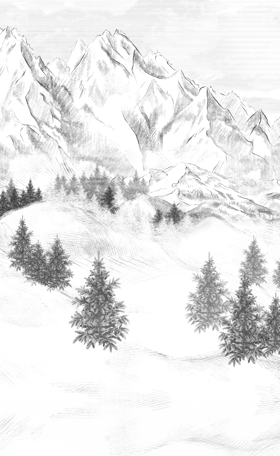 Papier Peint Panoramique Montagne Sommets de Chamonix - H260cm x L160cm - Matière Softouch - Muralconcept