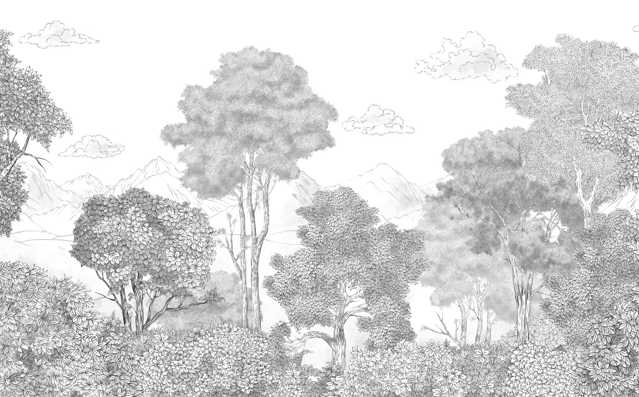 Papier Peint Panoramique Forêt et Monts Crayonnés - H250cm x L410cm - Matière Softouch - Muralconcept