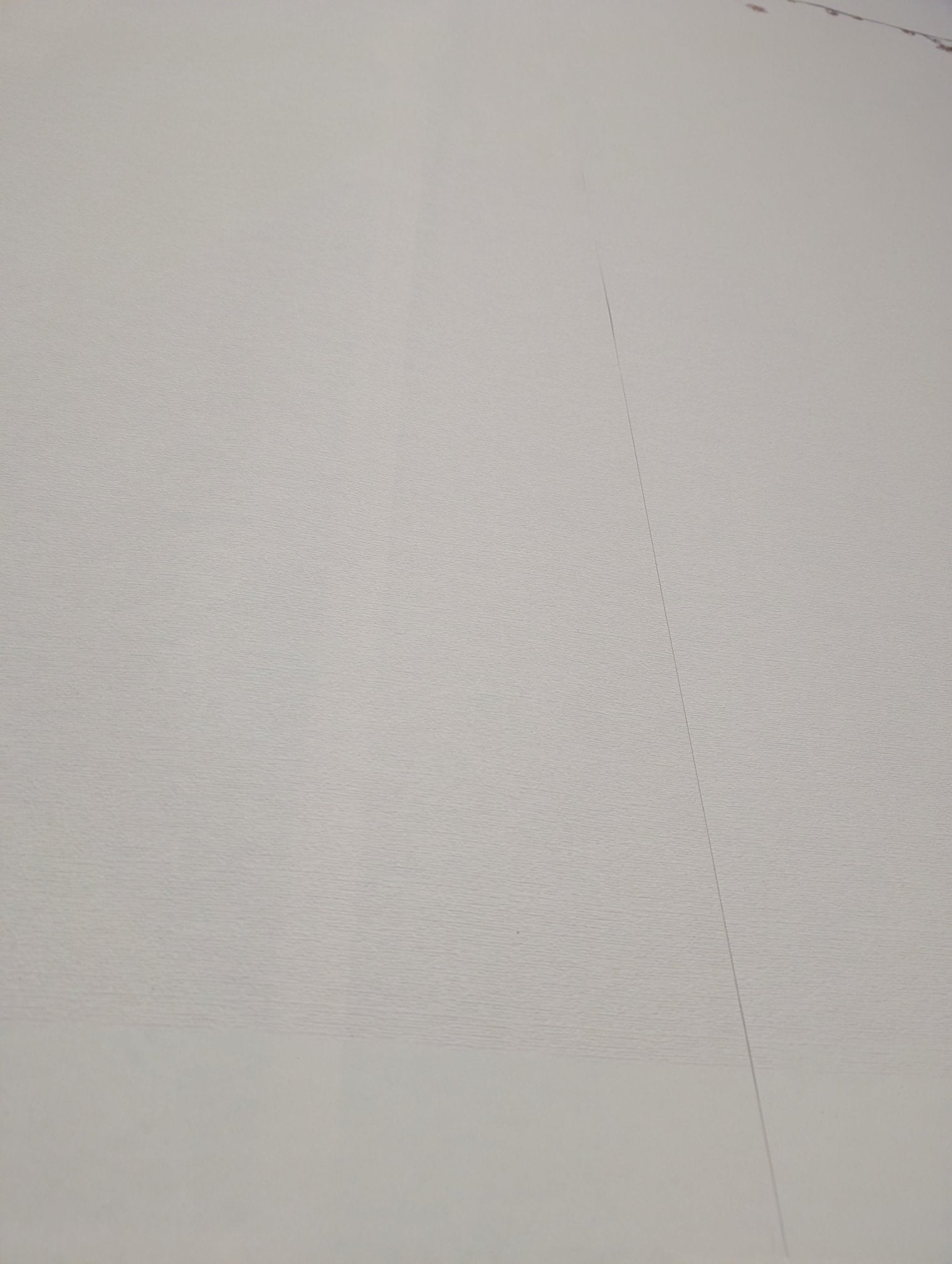 Papier peint Panoramique Sakura Beige H250cmx L267cm - Matière Softouch