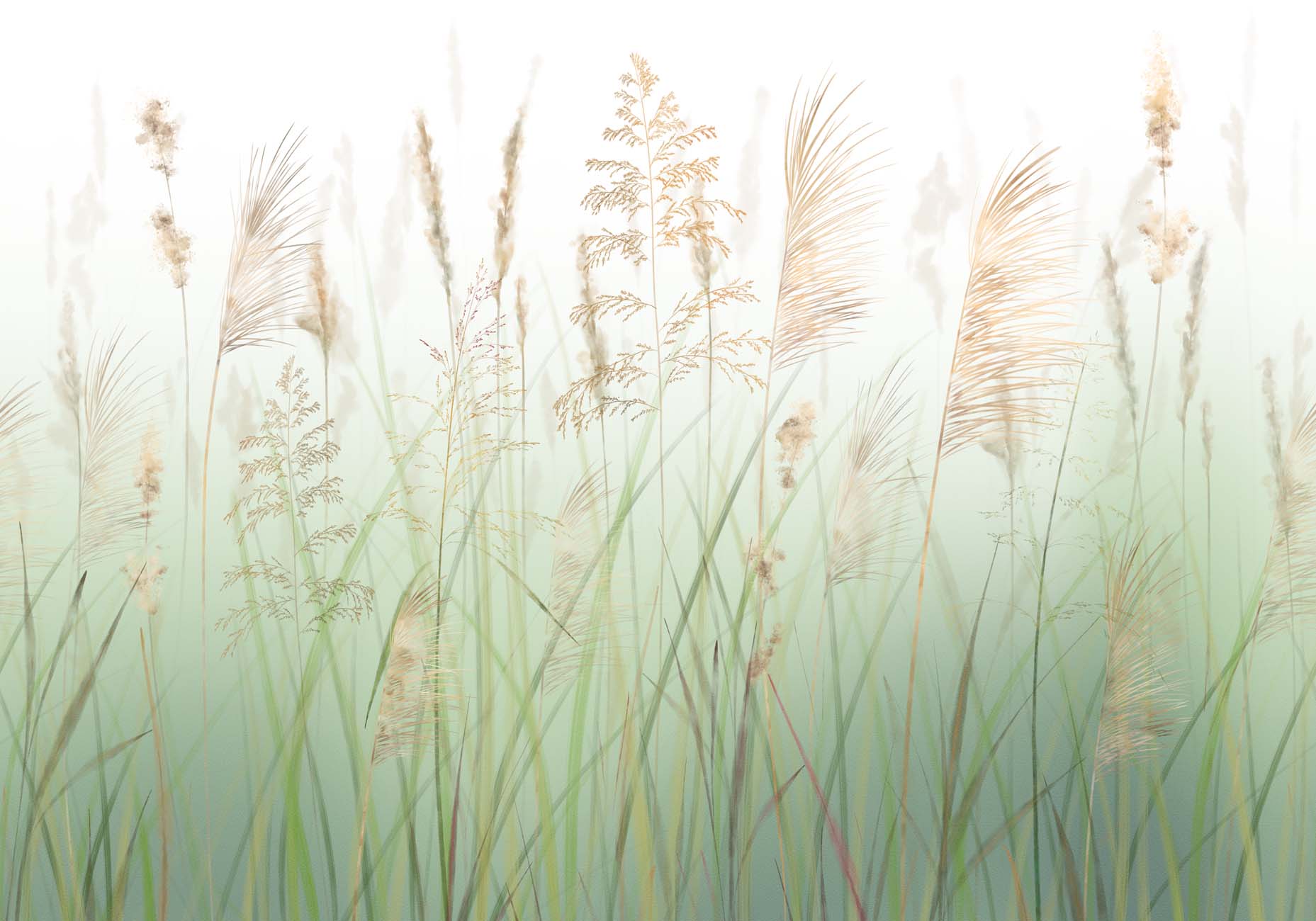 Papier peint fleur des champs de blé vert, XXL, tendance