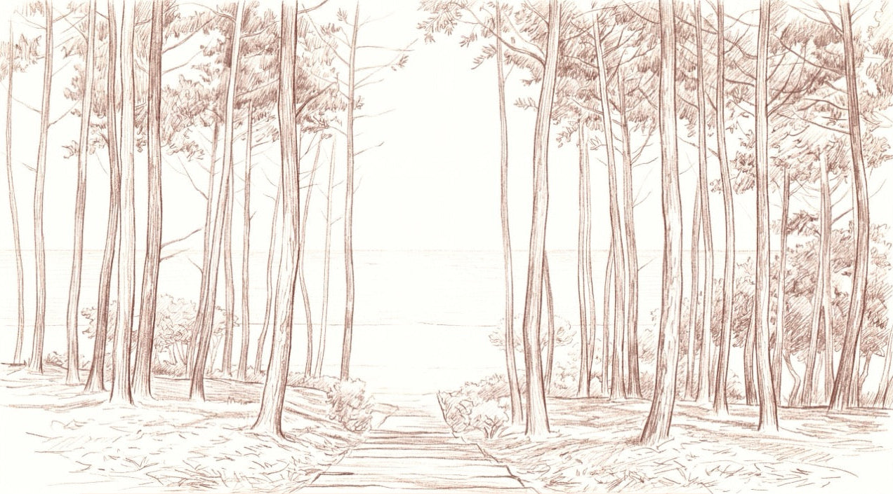 Papier peint Bassin d’Arcachon – Pins élancés et esprit côte Ouest - Muralconcept