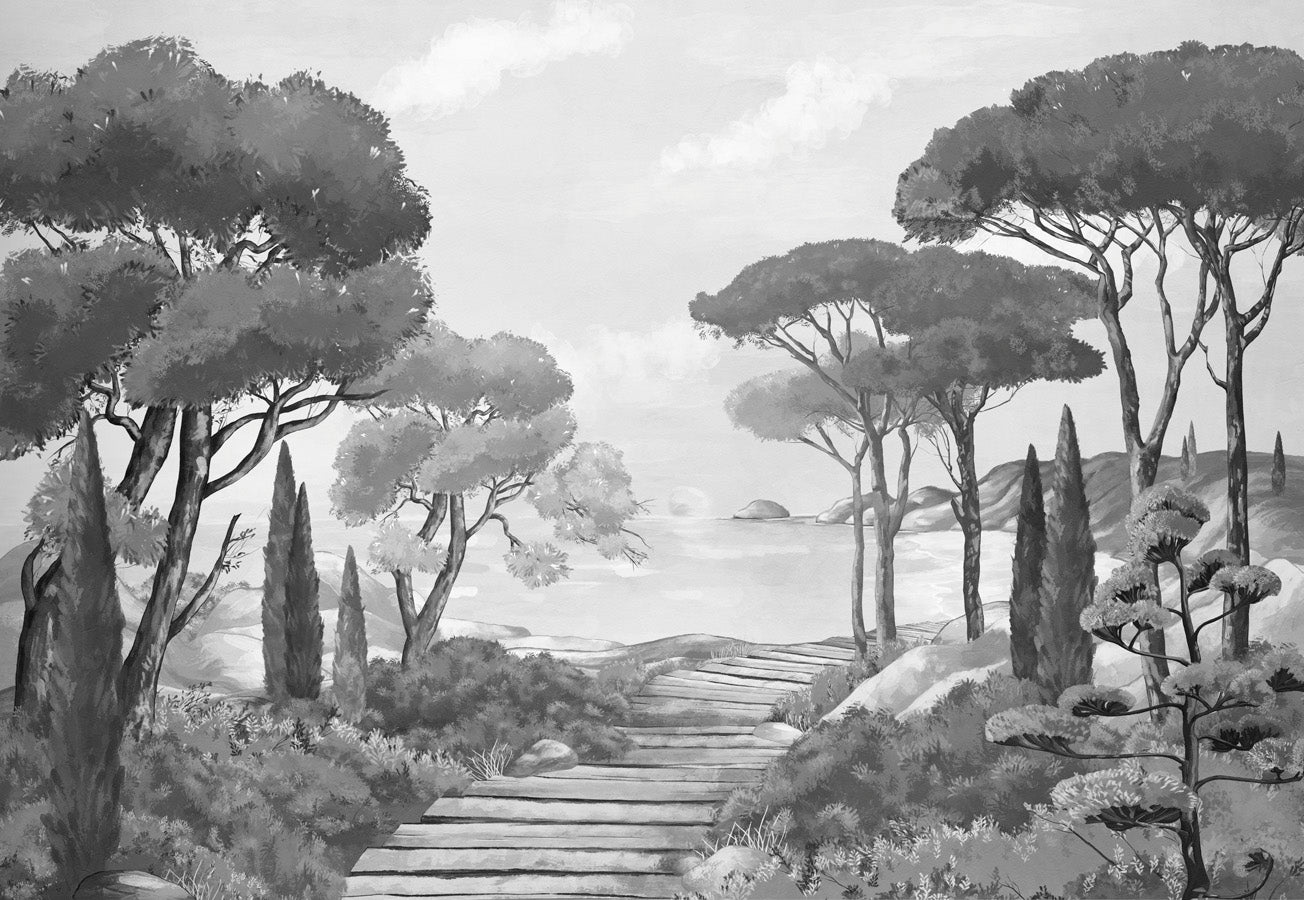 Papier peint balade dans les calanques noir et blanc, mural concept, tendance