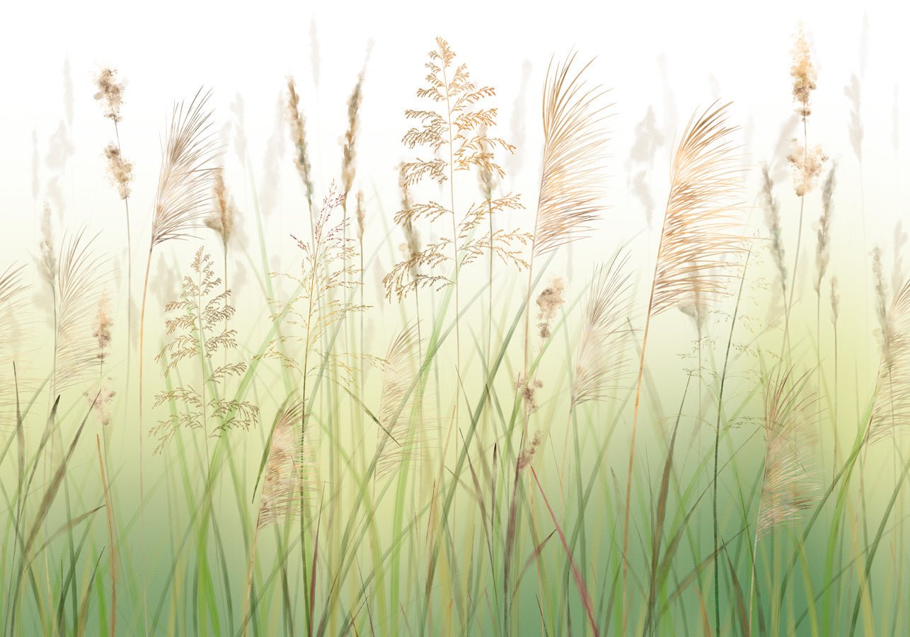 Papier peint fleur des champs de blé dégradé, mural concept, tendance