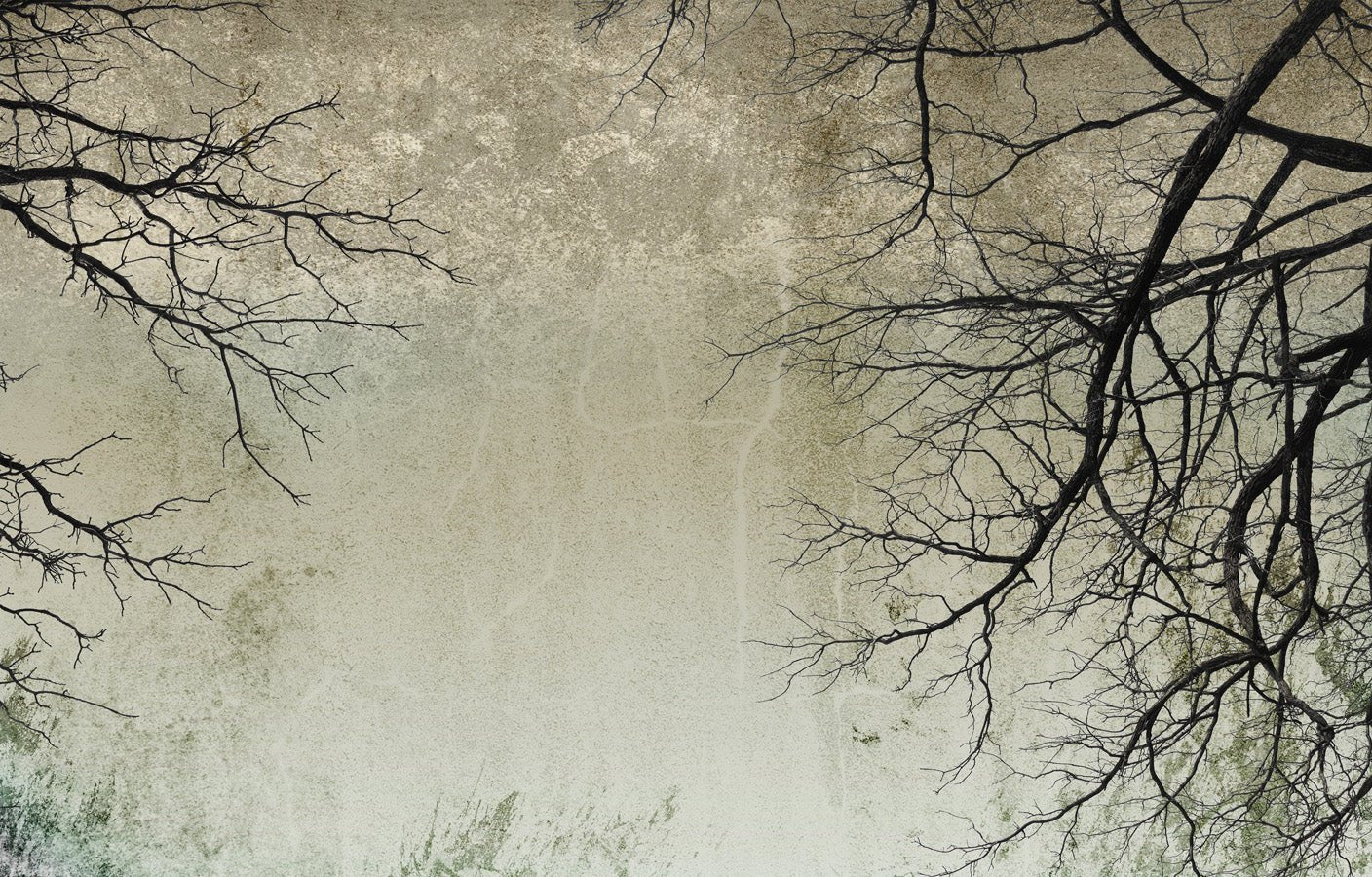 Papier peint Forêt Enchantée, mural concept, tendance