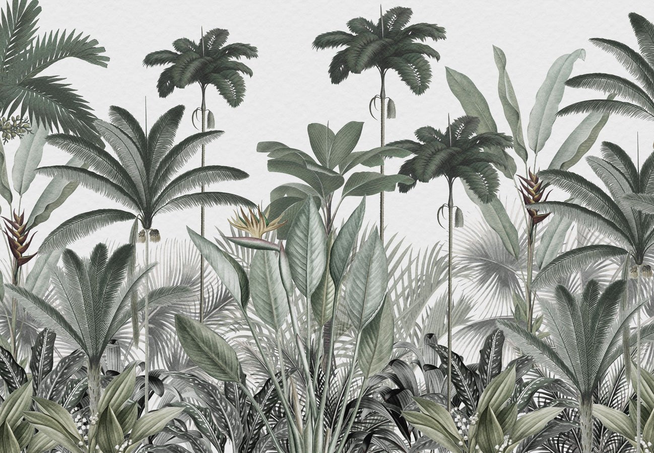 Papier peint panoramique jungle tree, mural concept, tendance