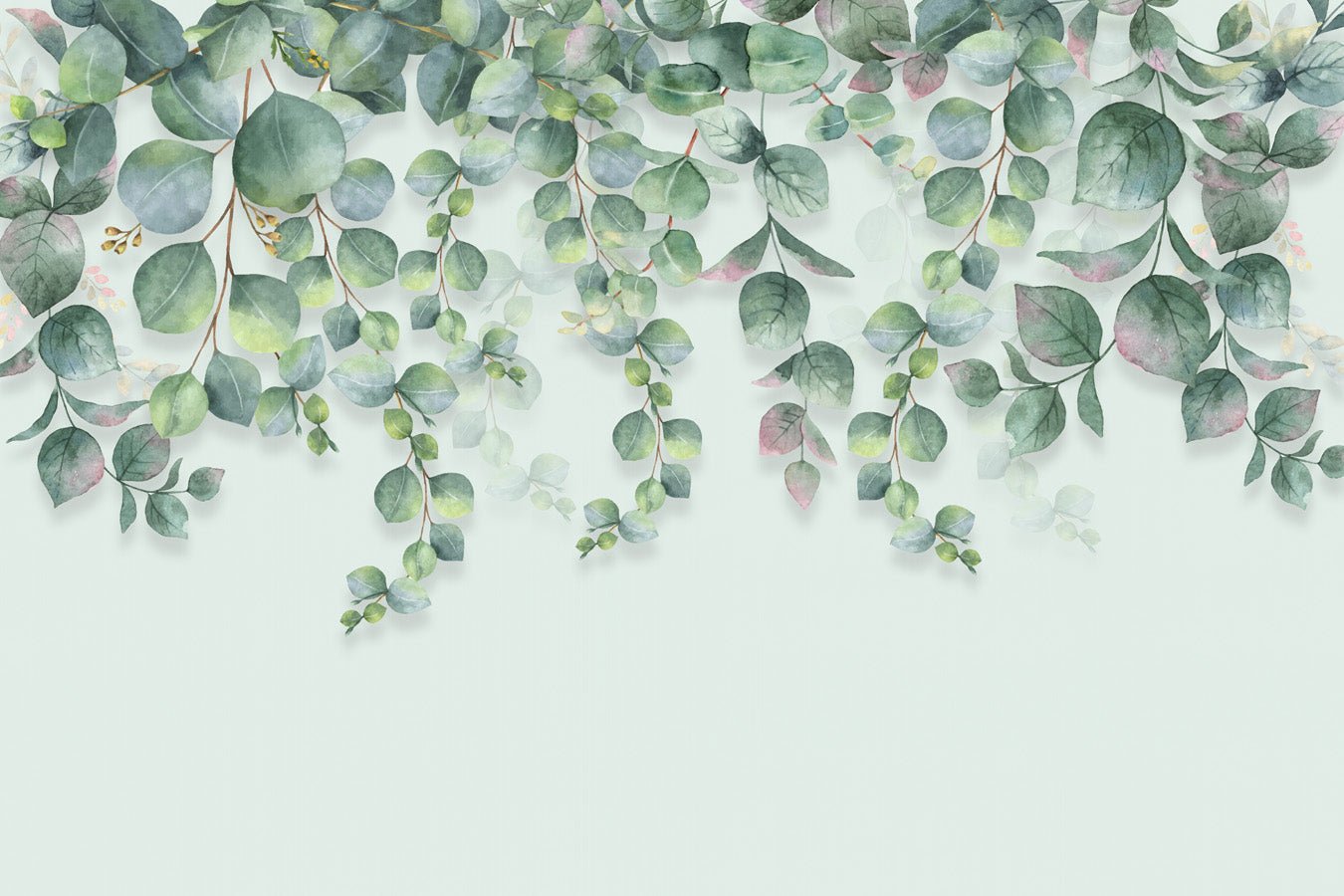 Papier peint nature plante Eucalyptus, mural concept, tendance
