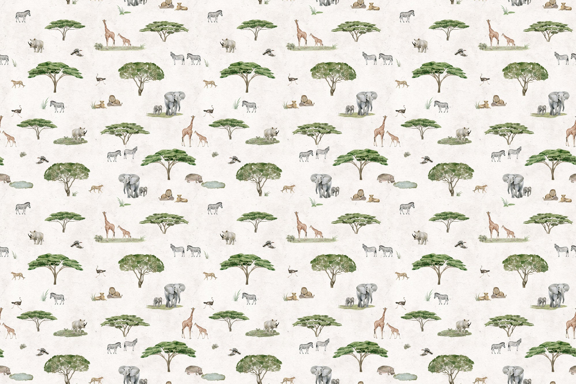 Papier peint à motif pour enfant. Douce savane - Muralconcept