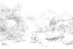 Papier peint forêt de pin aquarelle