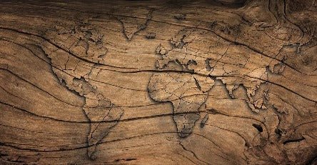 Papier peint Wood & Map, XXL, tendance