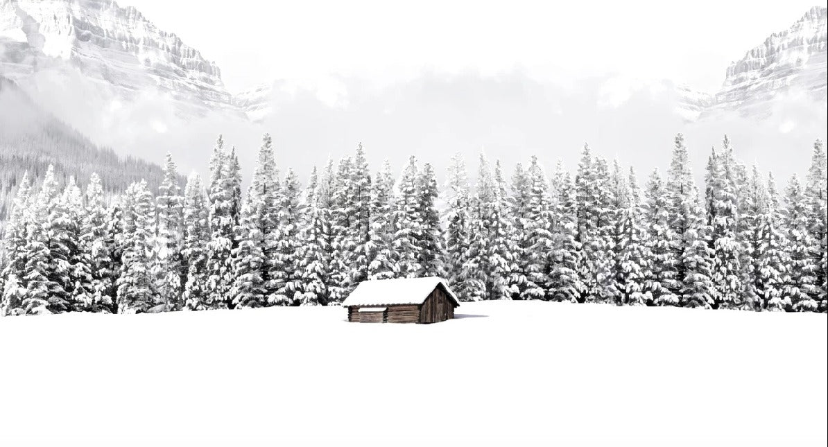 Papier peint panoramique chalet en montagne