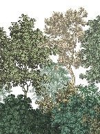 Papier peint paysage forêt gravure