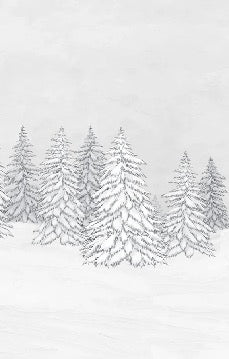 Papier peint montagne télécabine noir & blanc