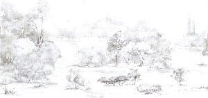 Papier peint forêt de pin aquarelle