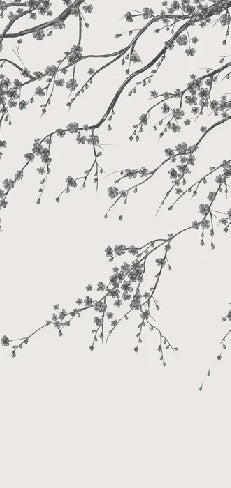 Papier peint panoramique fleur Sakura noir et blanc